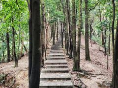 -火炉山森林公园