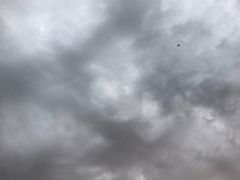 -昆明冠生园·蛋糕·面包(南强街店)