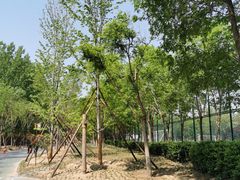 -回龙观体育文化公园
