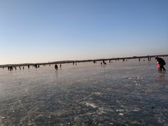 -丁香湖公园