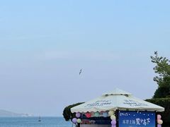 -幸福门