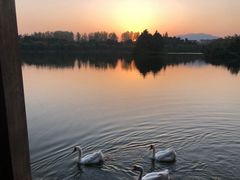 -浙江农林大学(东湖校区)