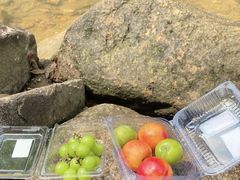 -广州白江湖森林公园