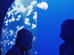 -成都浩海立方海洋公园