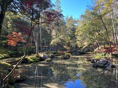-西芳寺(苔寺)