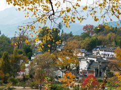 -塔川景区
