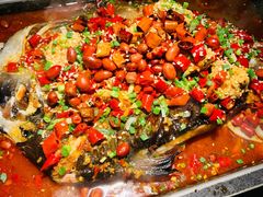 海鲈鱼-炉鱼(萧山万象汇店)