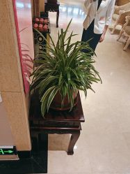 -北京俪婴妇产医院(朝阳大悦城店)