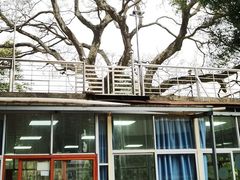 -洞背山庄(洞背院区式管理小区店)