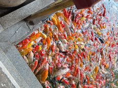 -番禺宾馆丽苑厅