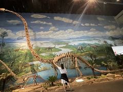 -自贡恐龙博物馆
