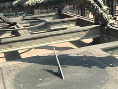 -紫金山天文台