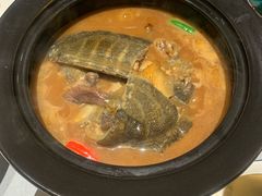 红煨老甲鱼泡米粉-徐记海鲜(南油永新汇店)