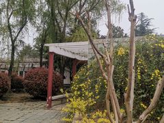 -洛阳市隋唐城遗址植物园