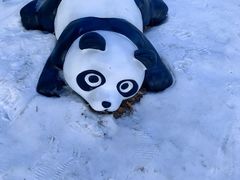 -沈阳奥体冰雪嘉年华