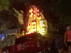 -桃姐农庄老字号(从化温泉店)