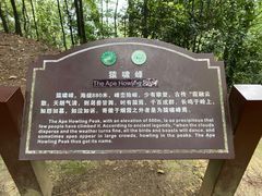 -缙云山景区