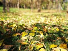 -福建鲤鱼洲酒店