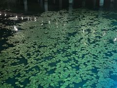 -苏州湾体育公园