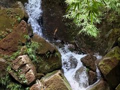 -凤栖山