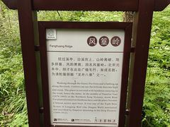 -中国茶叶博物馆(双峰馆区)