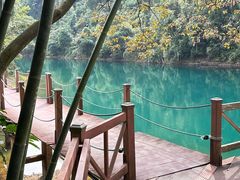 -鼎湖山风景区