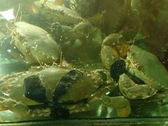 android_upload_pic-合家小菜餐馆(新诚花苑店)