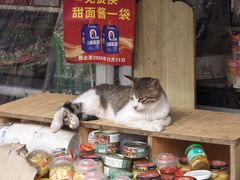 -东山民生市场(南崂路店)