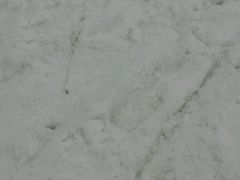 -大别山南武当滑雪场