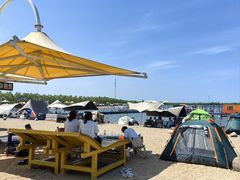 -呼兰河口湿地公园