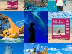 -秦皇岛乐岛海洋王国