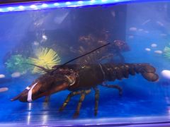 -盒马鲜生(莱蒙都会店)
