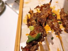 -山野的朋友露营炭火烤肉