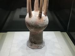 -亳州博物馆