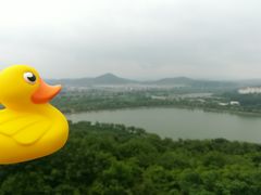 -羊山湖公园