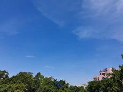 -广州雕塑公园