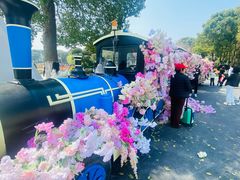-上海鲜花港