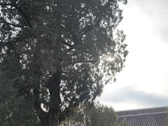 -大钟寺古钟博物馆