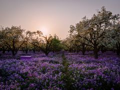 -江苏三台山国家森林公园