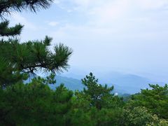 -大围山国家森林公园