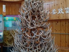 -北京鹿世界主题园