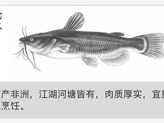 -快活林麻辣鱼(都天巷店)