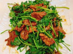 -好吉祥大酒楼