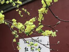 -红螺寺