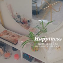 -凡碧诗毛孔收细