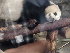 -皇家御河游(紫御湾码头)
