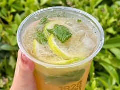 -1828王老吉·草本新茶(珠江新城地铁站店)