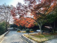-莫干山风景区