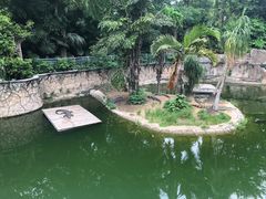 -深圳野生动物园