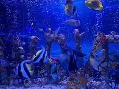 -太平洋海底世界